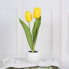 Yellow 2heads