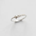White Gold Color