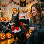 Dinosaur Dog Mask with Moving Teeth, Latex Funny Pet Hood for Halloween Cosplay & Photo Props