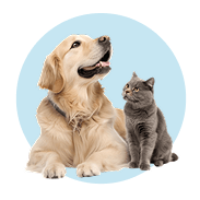 Pet Supplies
